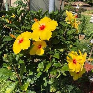 Meet your Posher, Miryam